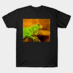 Green iguana T-Shirt
